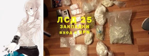 PSILOCYBIN Алзамай