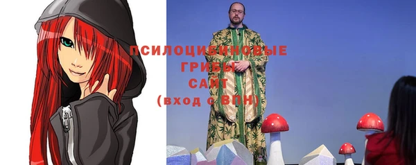 PSILOCYBIN Алзамай