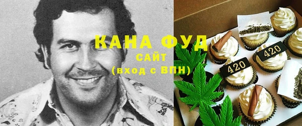 PSILOCYBIN Алзамай