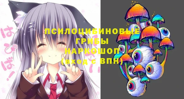 PSILOCYBIN Алзамай